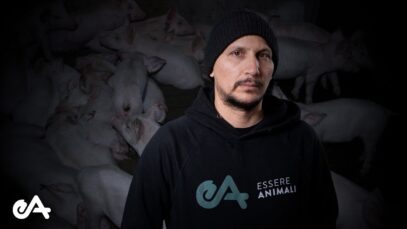 Ho avuto PAURA quando sono entrato in quell'allevamento | L'investigatore si racconta