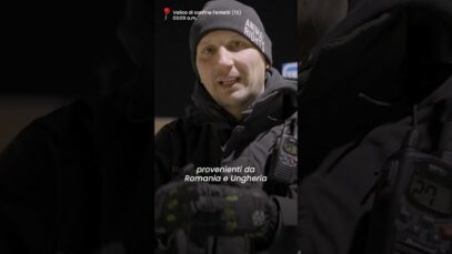 La nostra indagine sui crudeli viaggi degli agnelli importati per Natale #shorts