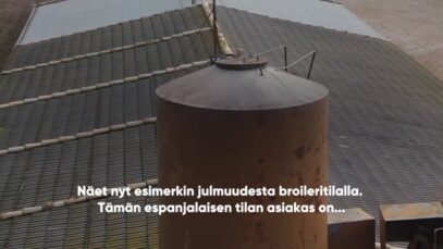 Lidl broileriskandaali: Video paljastaa julmuuden espanjalaisella broileritilalla