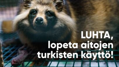 Luhta, lopeta turkisten käyttö