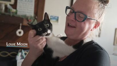 Meet Some of the Animals PETA helped in 2022