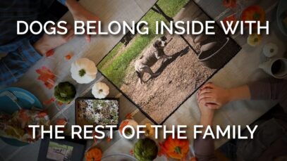 Pancake’s Life Transformation