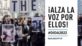 Participa en el DÍA de los DERECHOS ANIMALES