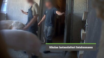 Sikalan lastauslaituri Satakunnassa