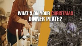 The traditions behind your Christmas dinner