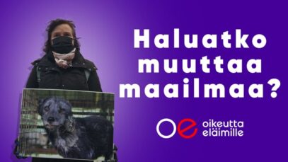 Tule mukaan toimintaan!