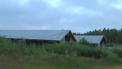 Turkistarha, Kaustinen Köyhäjoki 5, 2010