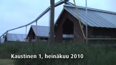 Turkistarha, Kaustinen Köyhäjoki 1, 2010