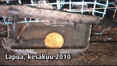 Turkistarha, Lapua 3, 2010