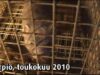 Turkistarha, Närpiö Ylimarkku, 2010