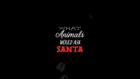 What do you think farmed animals would ask Santa for if they could?
