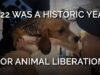 2022 Was a Historic Year for Animal Liberation Caption