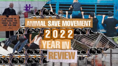 2022 Year in Review – Animal Save Movement