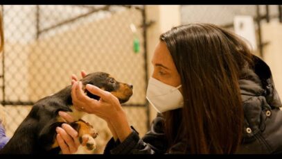 Compassionate Farmers Convert Chicken Farm into Animal Sanctuary
