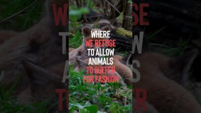 Let’s Make 2023 We Abolish Fur Farming & Farmed Fur Products in Europe #FurFreeEurope