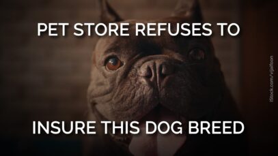 Pet Store Refuses To Insure This Dog Breed