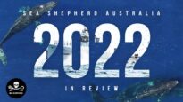 Sea Shepherd Australia: 2022 in Review
