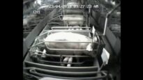 Behaviour of sows in farrowing crates