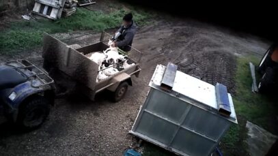 Cibus Goats, Trafalgar VIC 2019 (full investigation)