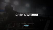 Horrific animal cruelty documented at Canada’s largest dairy producer