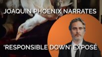 Joaquin Phoenix Narrates PETA Asia Investigation Video Exposing ‘Responsible Down’