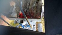 Lagoon croc farm – slaughter 2021