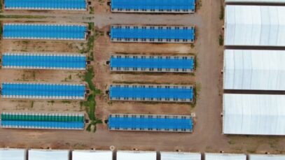 Lagoon crocodile farm, near Darwin NT