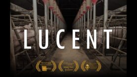 Lucent (2014) – full documentary