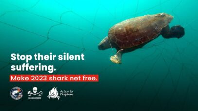 Stop their silent suffering. Make 2023 shark net free.