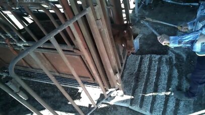 Wally’s Feedlot – cruelty and full bribery confession