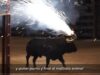 Así son las fiestas crueles con animales en España