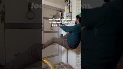 Cat Rescued After Turkey Earthquake