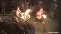 El horror de los toros embolados (L’Ampolla, 19 de junio de 2022)