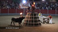 Horror de los festejos populares con toros en Cataluña 2/2
