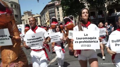 La tauromaquia es prehistórica (Pamplona, 2022)