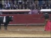 La verdad de las corridas de toros