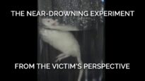 The Near-Drowning Experiment From the Victim’s Perspective
