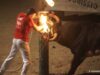 Tradiciones que torturan animales en Sant Jaume d’Enveja (24 de junio de 2022)