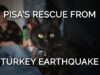 Turkey Earthquake Survivor Thrives In New Home Thanks to PETA