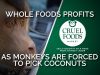 Whole Foods Sells Coconut Milk Sourced by Forced Monkey Labor