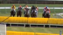 HorseRacingKills – Jumps racing, sport or legalised cruelty [2fA69z5B_cc – 1280×720 – 0m41s](1)