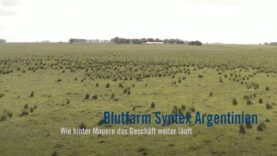 Blutfarm Syntex, Argentinien – Wie hinter Mauern das Geschäft weiter läuft