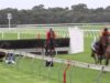 Cranbourne Carnage: More dramatic falls in Victorian jumps racing