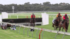 Cranbourne Carnage: More dramatic falls in Victorian jumps racing