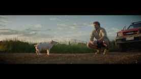 Cute Pig TV Commercial – Animals Australia