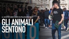 Gli animali sentono: il nostro discorso in Piazza Duomo a Milano