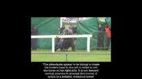 Horrendous treatment of an injured horse not worthy of investigation
