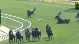 Horror – Australian and NZ horse killed in Hong Kong