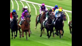 Horse Racing Putting Lives At Risk During COVID-19