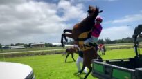 Horse rears and throws jockey